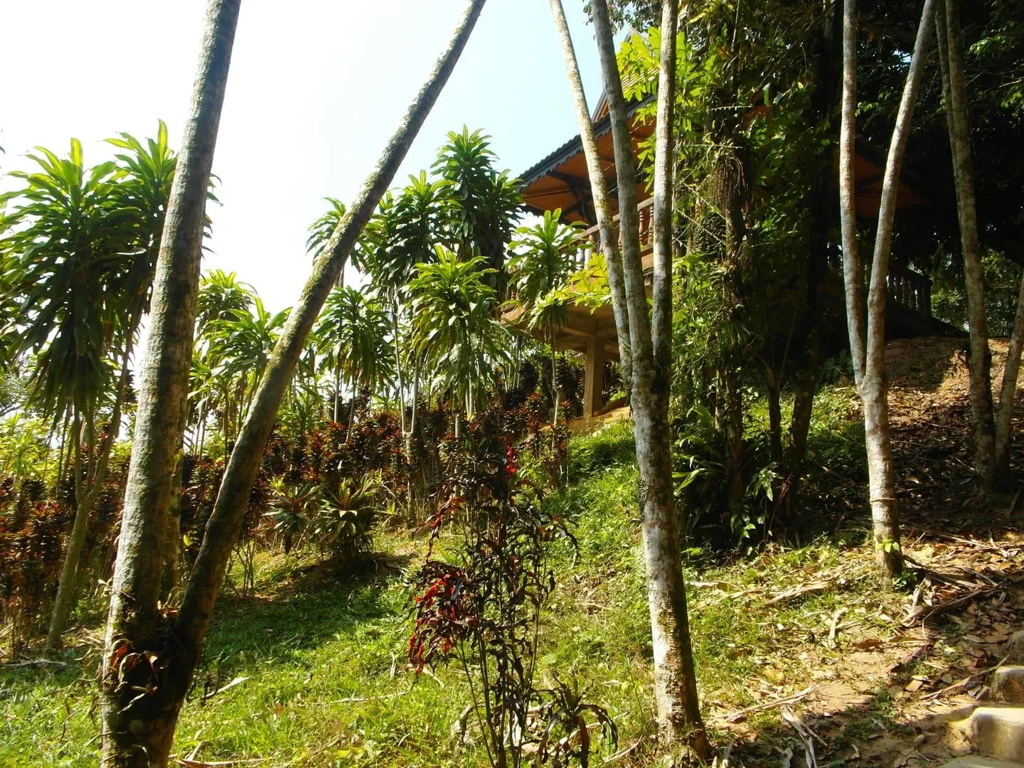 Samui 360 Viewpoint Trail, Koh Samui: view 6