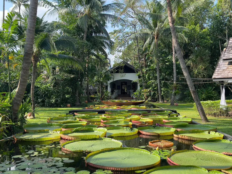 Giant lily pads fill a long pond in the tropical gardens of Anantara Bophut, with a pavilion beyond