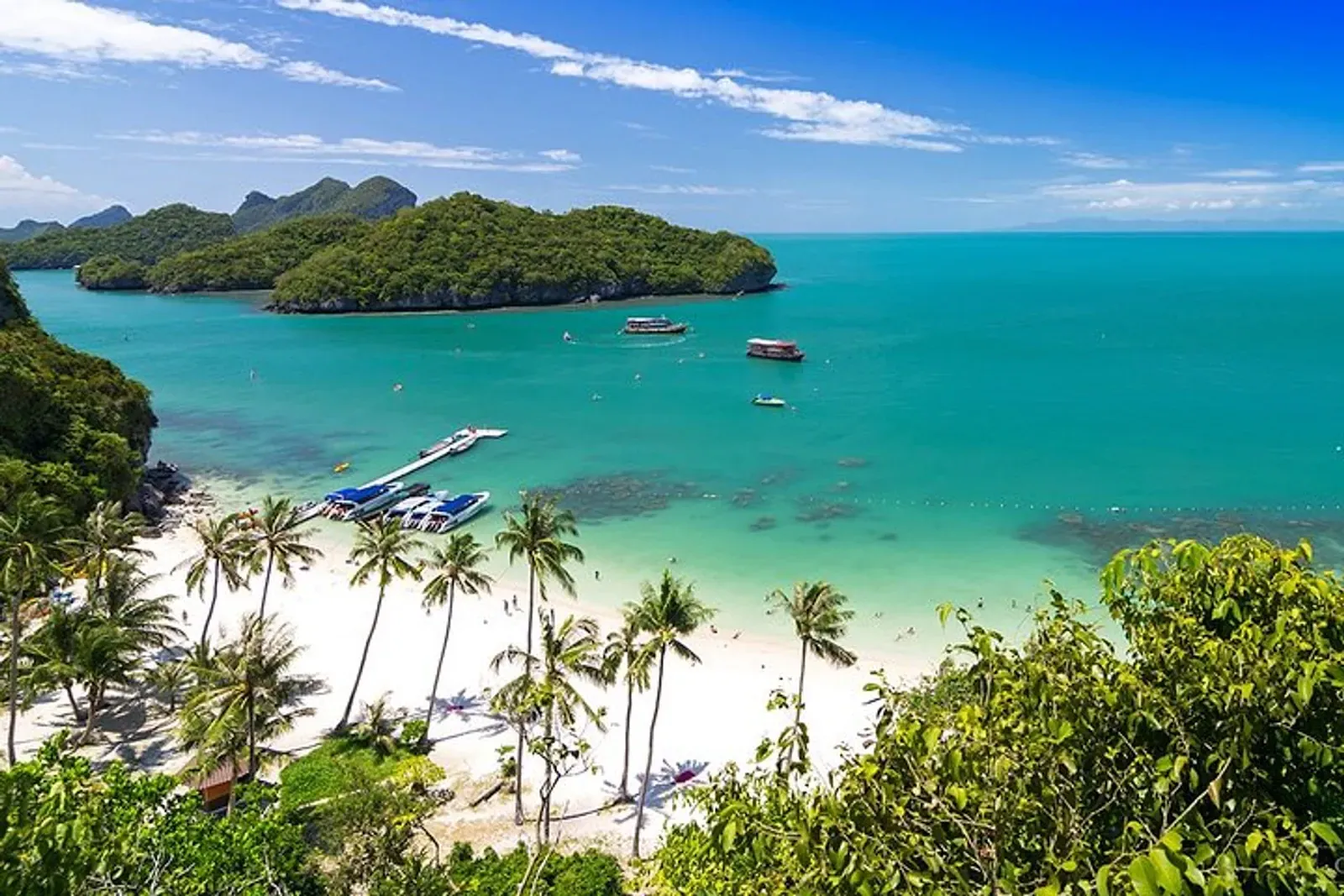 Dense jungle canopy covering the karst islands of Ang Thong National Marine Park