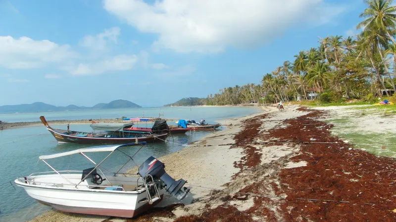 Bang Kao Beach, Koh Samui, view 2