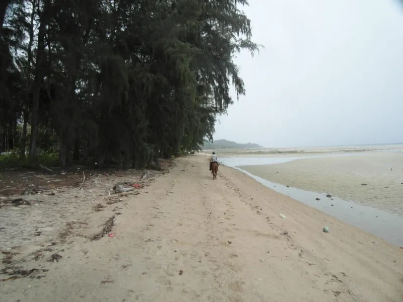 Bang Kao Beach, Koh Samui, view 7