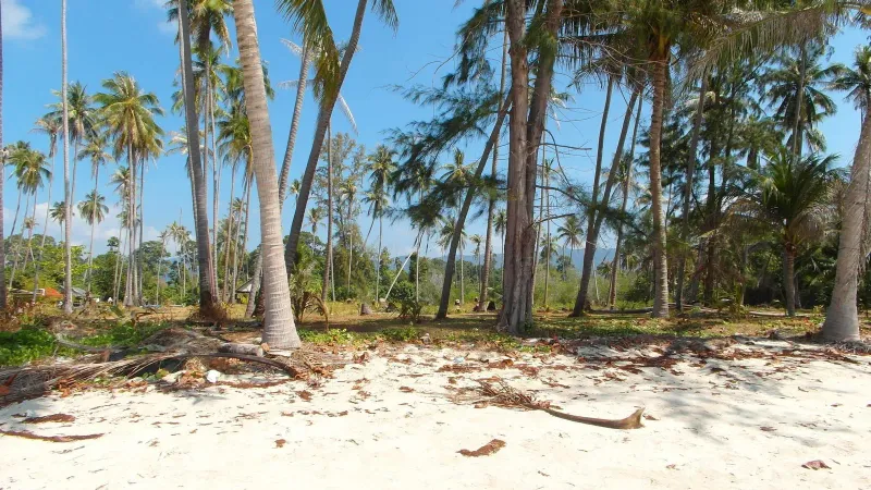 Bang Kao Beach, Koh Samui, view 4