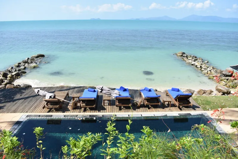 Beach loungers under tall palms on Koh Samui's quiet north shore