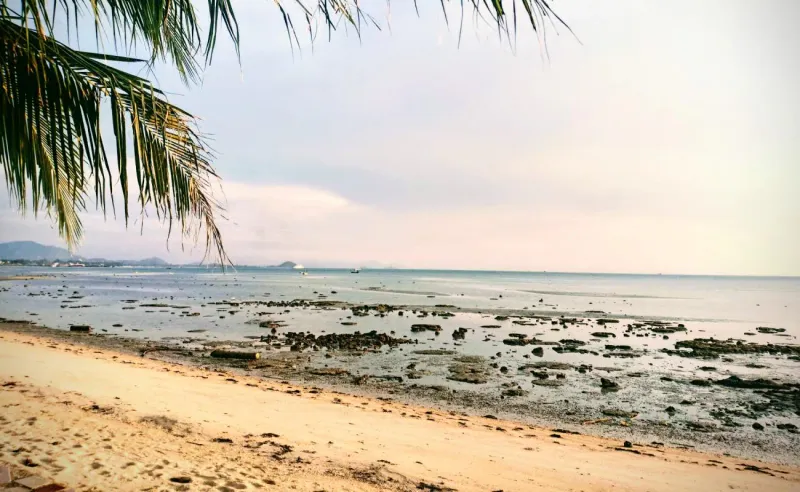 Exposed rocky reef flat at low tide along the Bang Makham shoreline