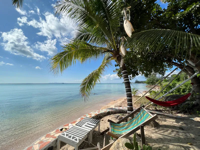 A red hammock and striped deck chair strung from a palm tree at a quiet Bang Makham beach spot