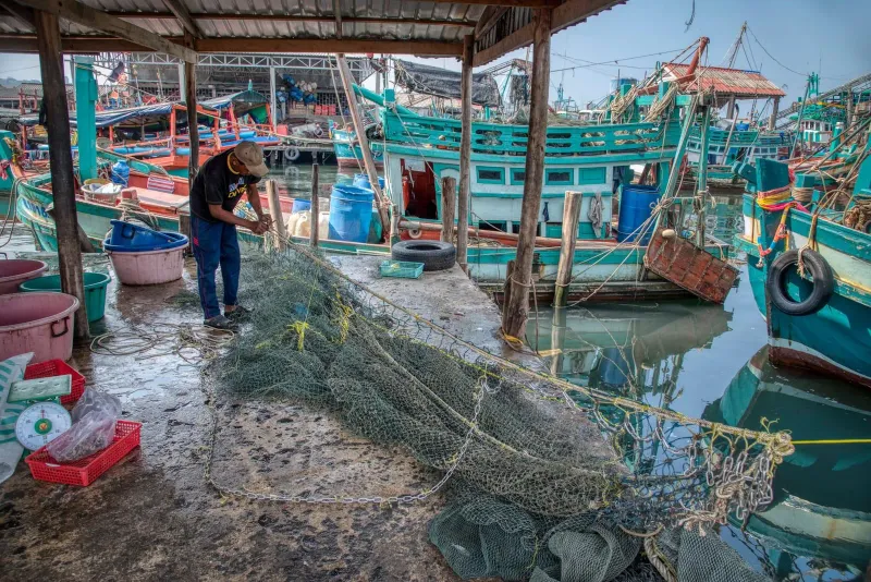 Fisherman repairing nets beside colorful longtail boats near Bophut Koh Samui harbor