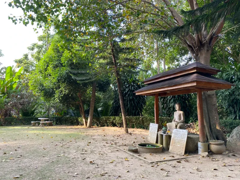 A stone Buddha statue seated beneath a small wooden shelter among garden trees