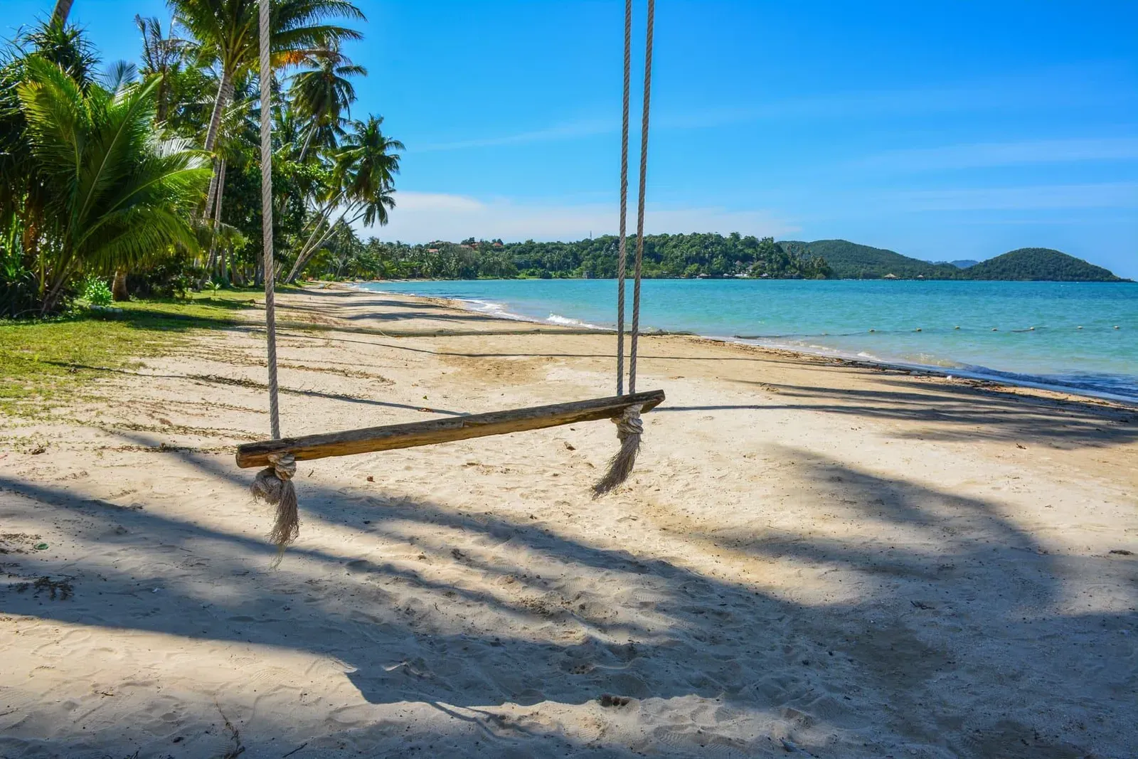 A wooden rope swing hangs from a palm over an empty sand beach, frond shadows on the sand, a calm turquoise bay and green hills beyond.