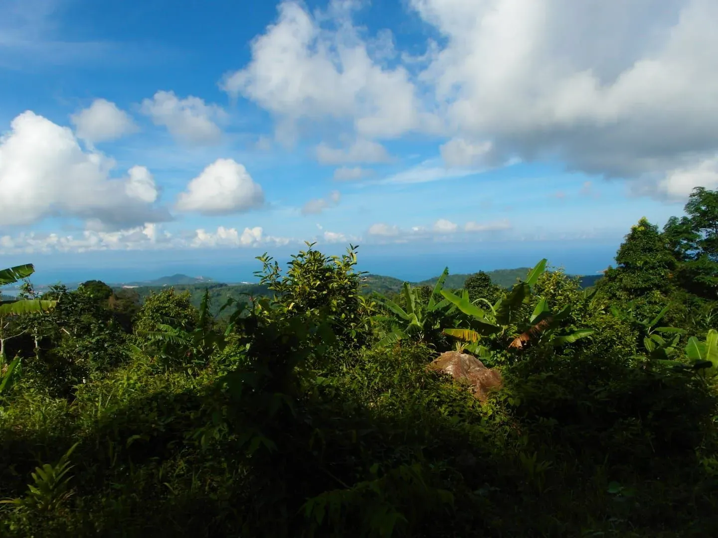 Jungle Route 360: Koh Samui's Second-Highest Viewpoint