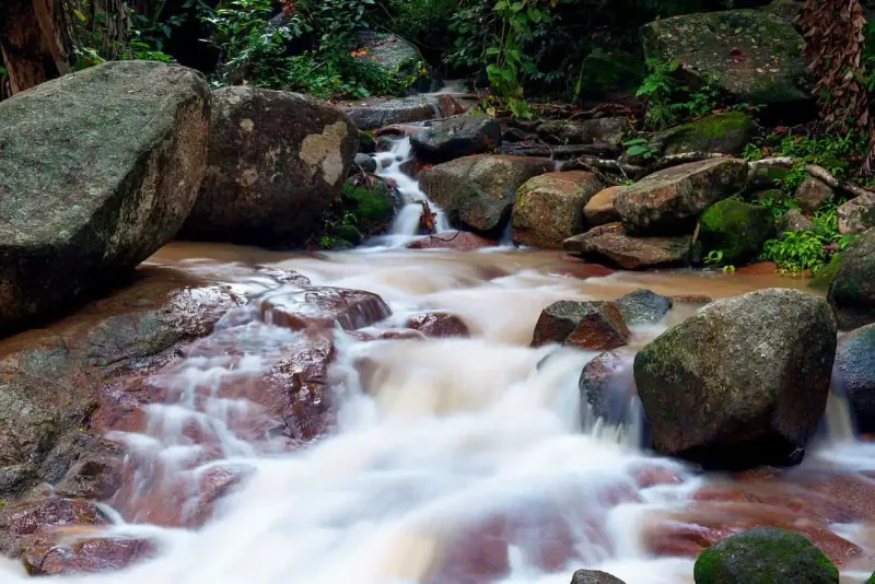 Jungle stream cascading over moss-covered granite boulders in the forest