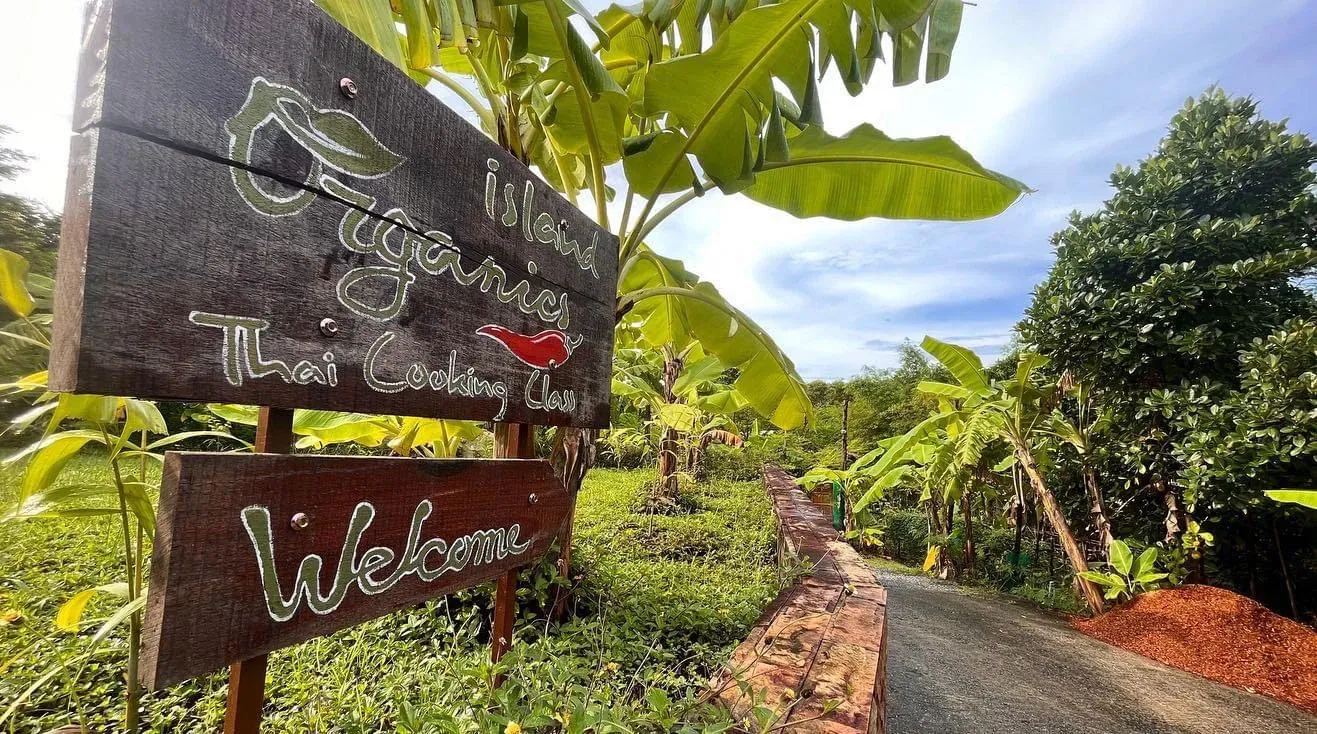 Island Organics Samui: Closed From 1 Oct 2026, Menu and Price