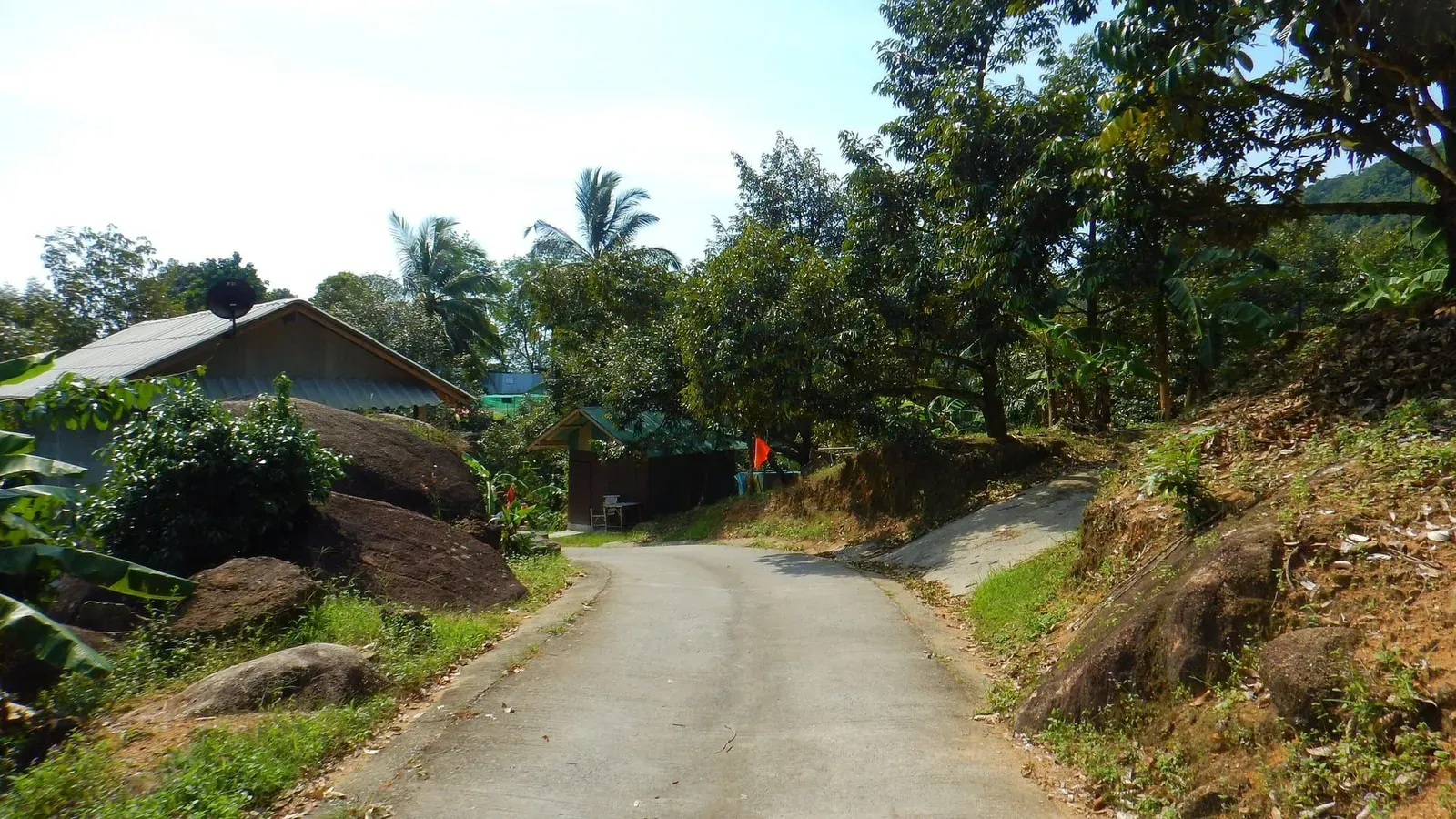 Khao Phra Trail: Koh Samui's Wild Bamboo Jungle Hike