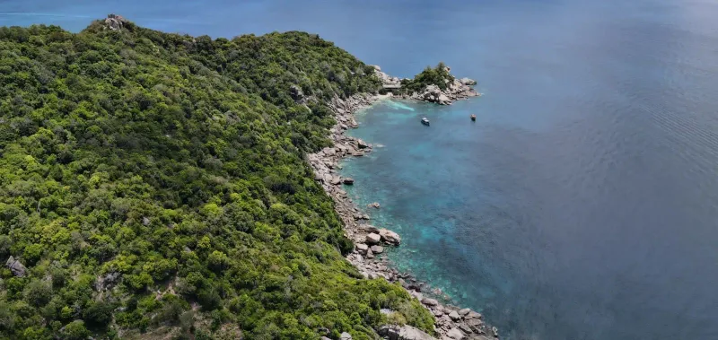 Lush tropical island coastline with clear blue water typical of the Koh Nang Yuan day trip