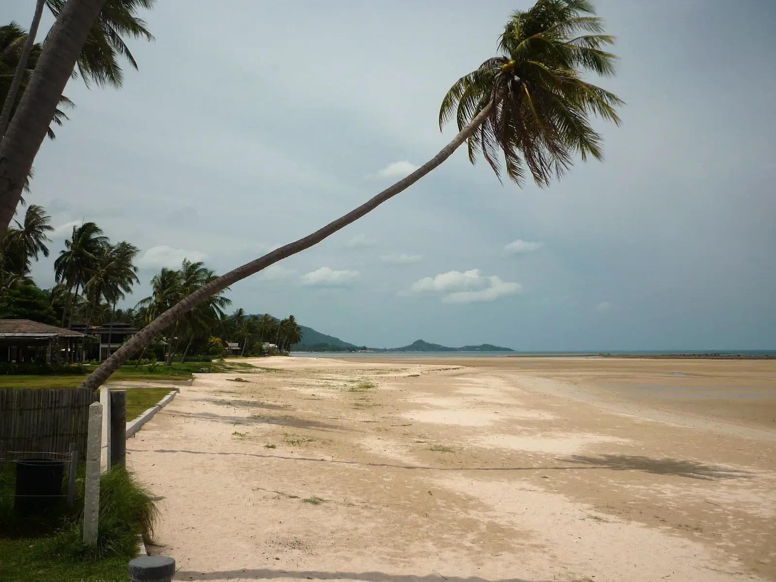 Baobab Koh Samui: Lamai Beach Bistro, Free Loungers, Prices