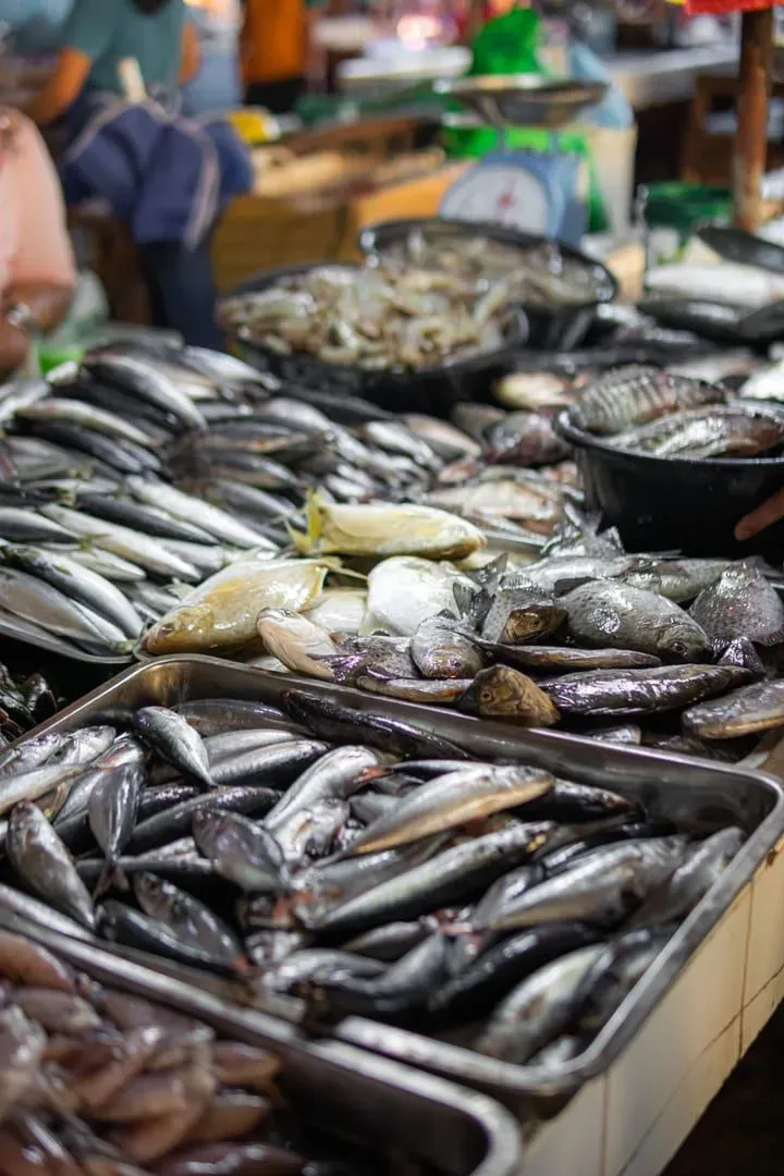 Fresh fish laid out on a market stall