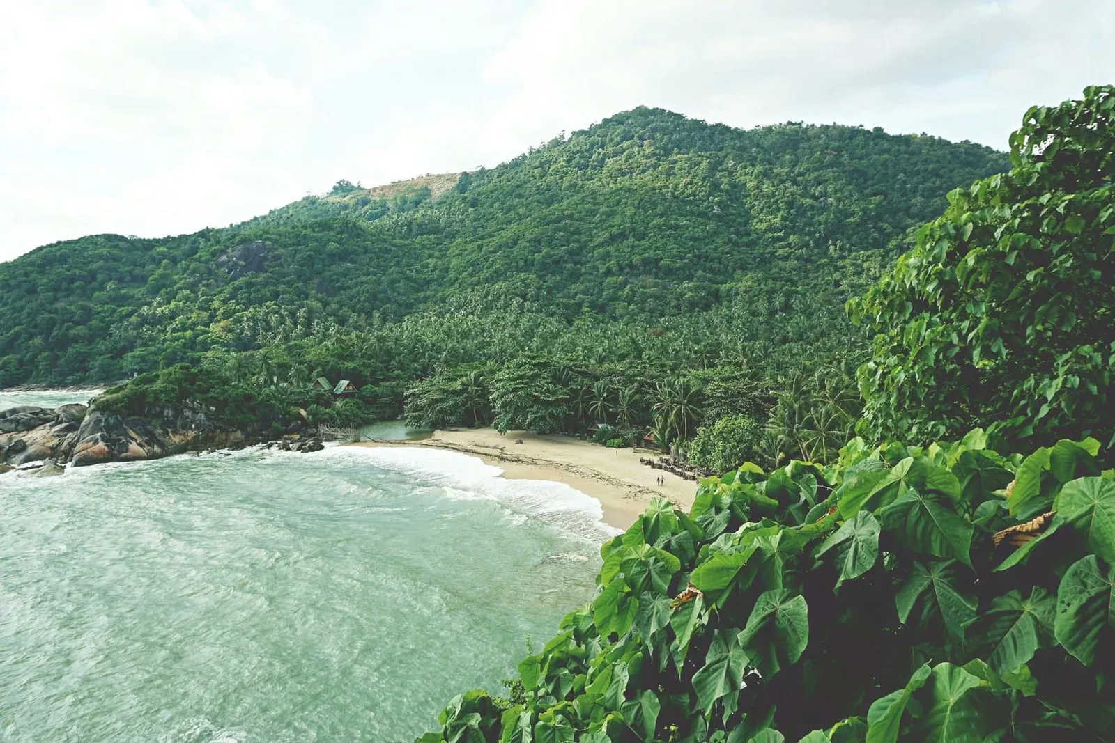 Koh Phangan Day Trip from Koh Samui: Ferry Times, Costs, Route