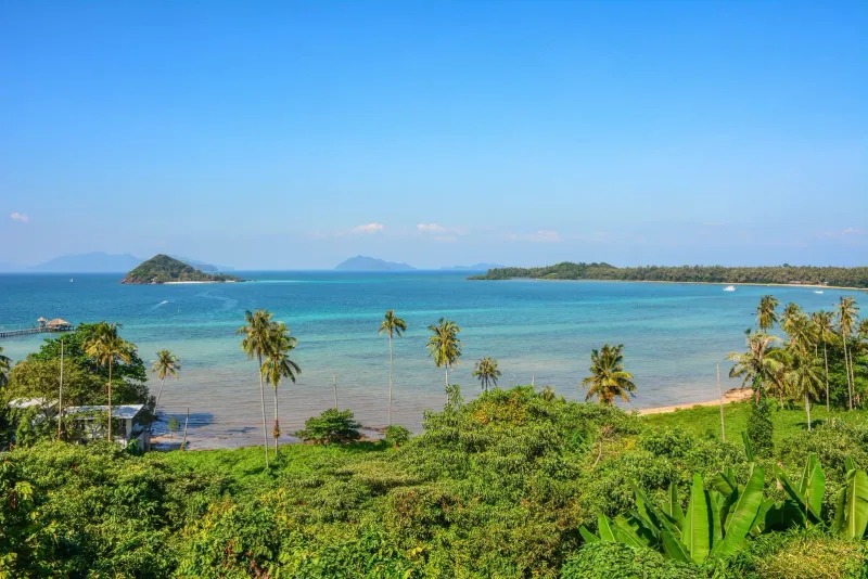 Idyllic tropical beach view with clear blue water and palm trees