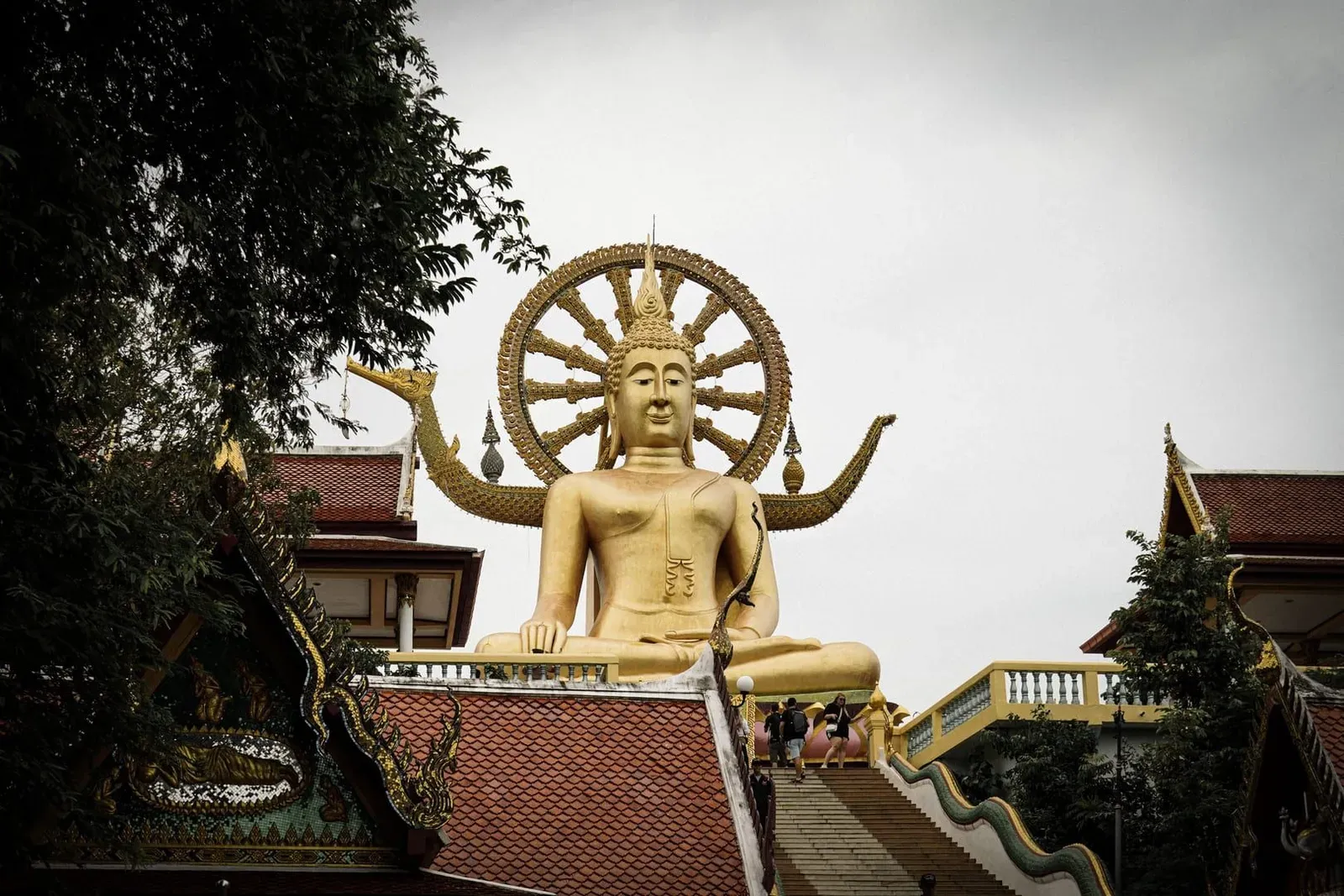 Bangrak Samui: Big Buddha Beach, Pier Ferries & Hotels (2026)