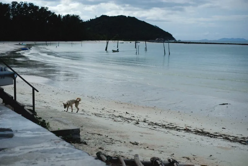 A quiet grey-sky beach in the low season