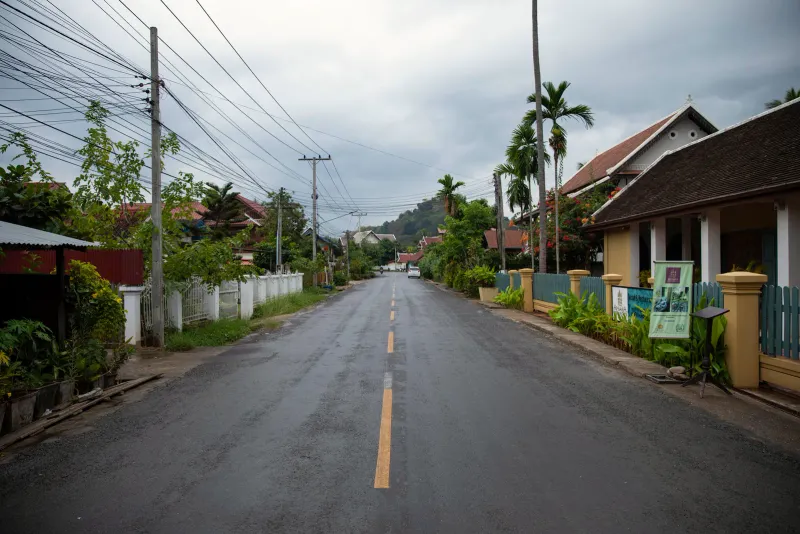 Wet empty tarmac street lined with tropical plants and a yellow centre line