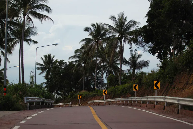 Curved coastal road with yellow chevron warning signs and guard rail among palm trees