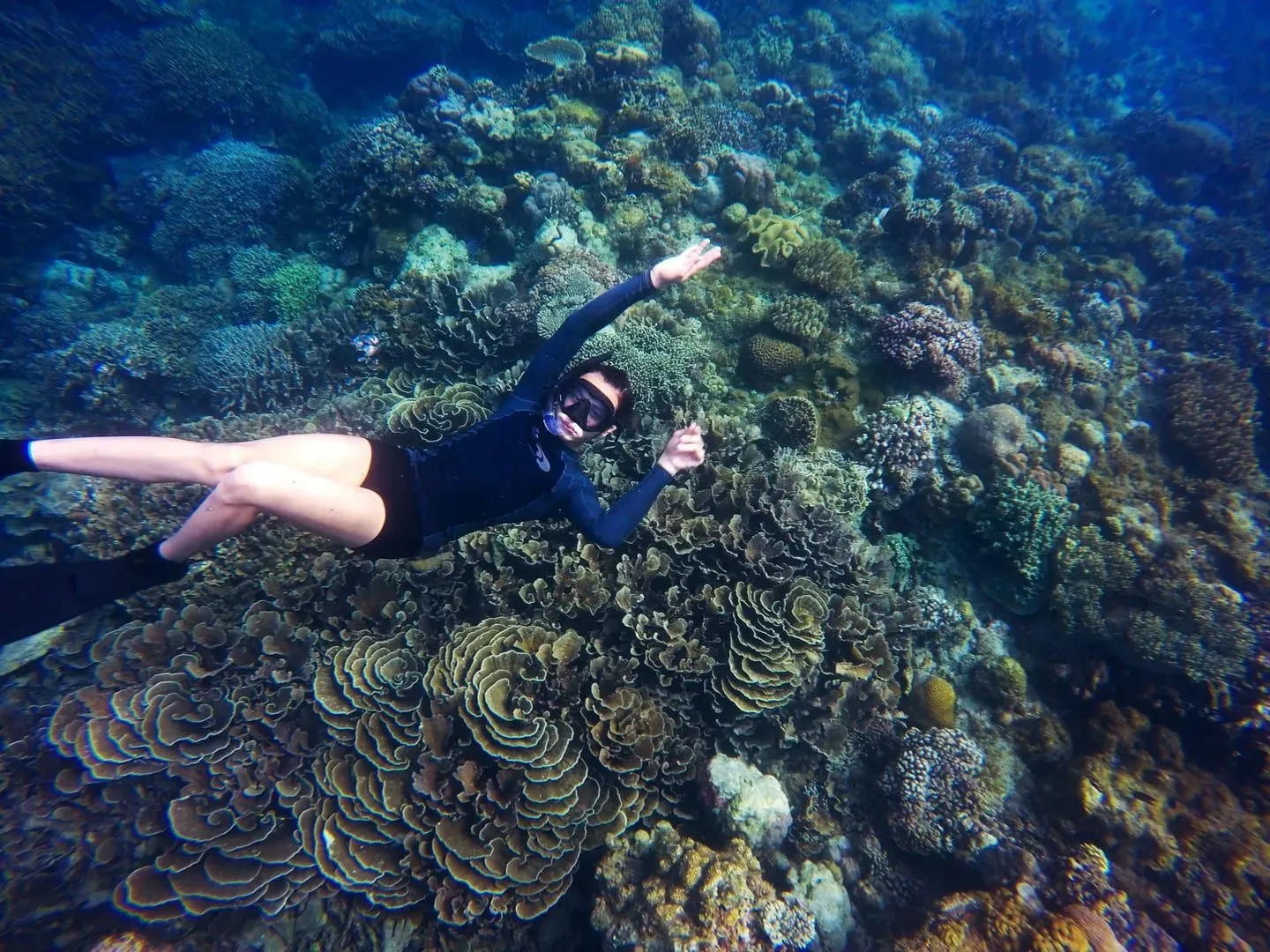 Snorkel Koh Samui: 8 Shore Spots and Best Boat Trips (2026)