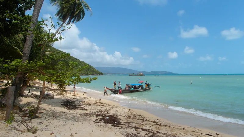 A longtail boat unloading passengers on a palm-lined beach on Koh Tan