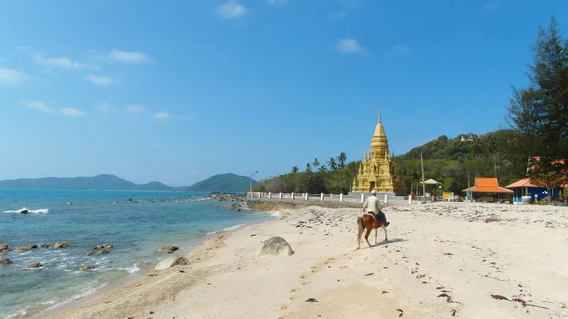 Beach and Buddhist emple at Ko Samui island, Thailand (2014 febr.)