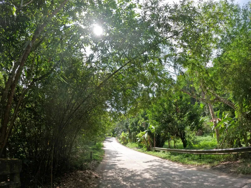 Khun Si Waterfall Trail
