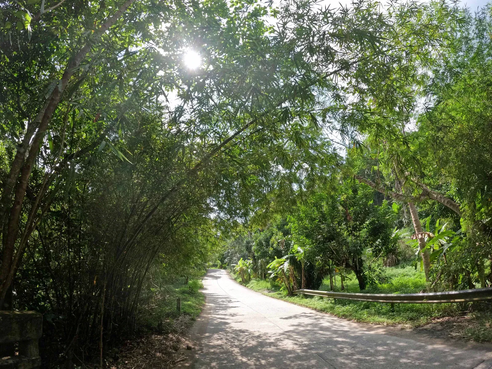 Khun Si Waterfall Trail: The Bophut Mountain Sanctuary