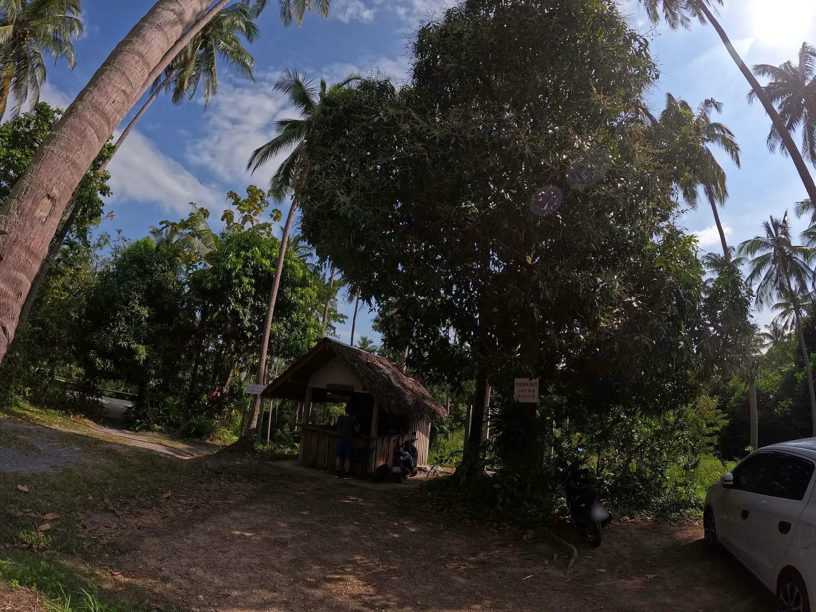 A dirt parking area shaded by tall coconut palms near the start of the Wang Sao Thong forest path