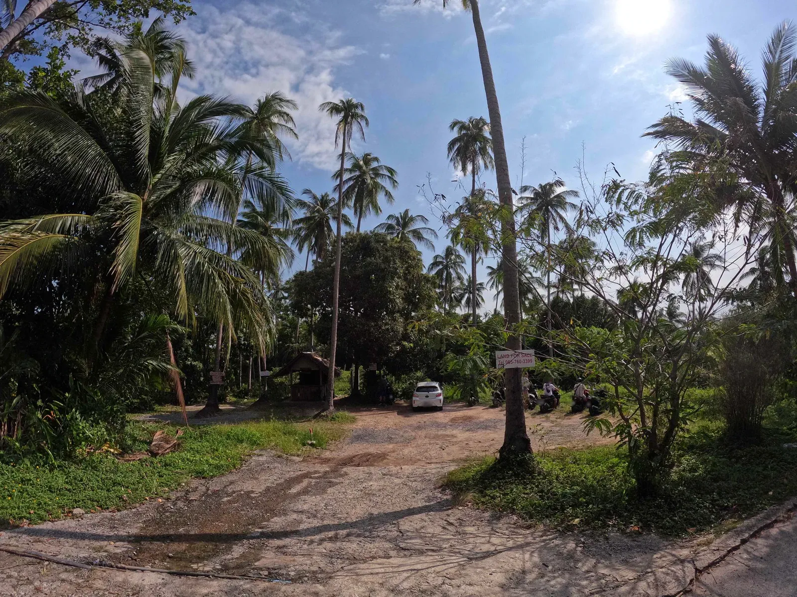 A concrete lane lined with coconut palms and banana plants leads toward the trailhead area near Ban Hua Thanon