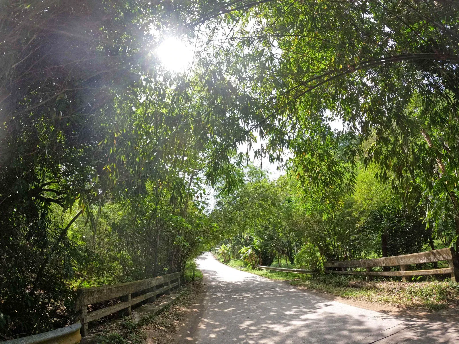 A shaded jungle lane crosses a small wooden bridge near the highland trailhead above Bophut