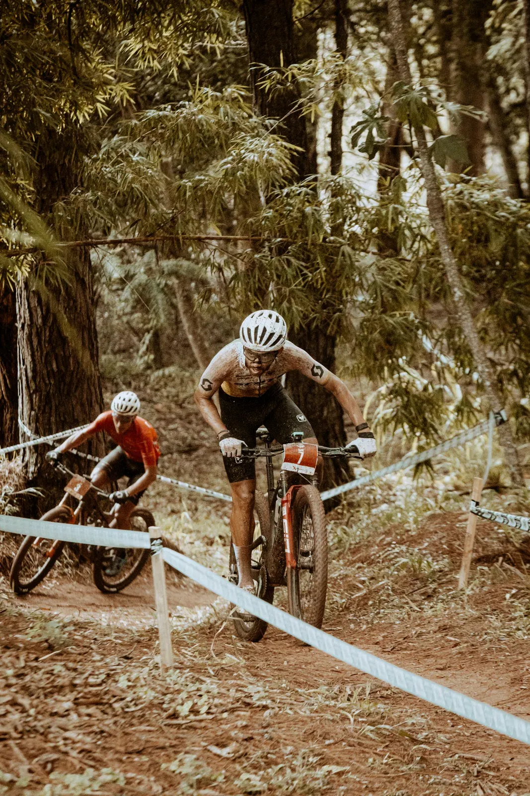 Mountain bikers racing off-road through woodland