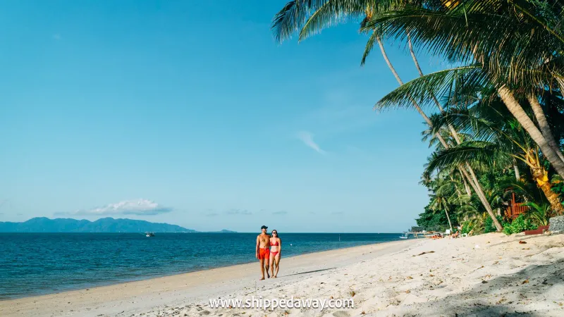 A couple walking along a quiet palm-lined beach on Koh Samui's north coast