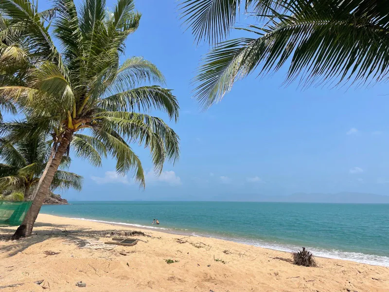 Quiet local beach with a fishing net drying under palm trees