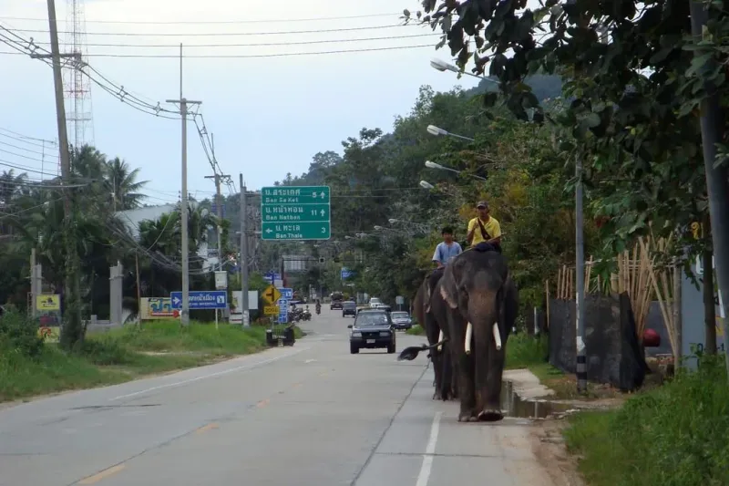 The »Ringroad« at southern part of Koh Samui, close to the Namuang waterfalls. Thailand