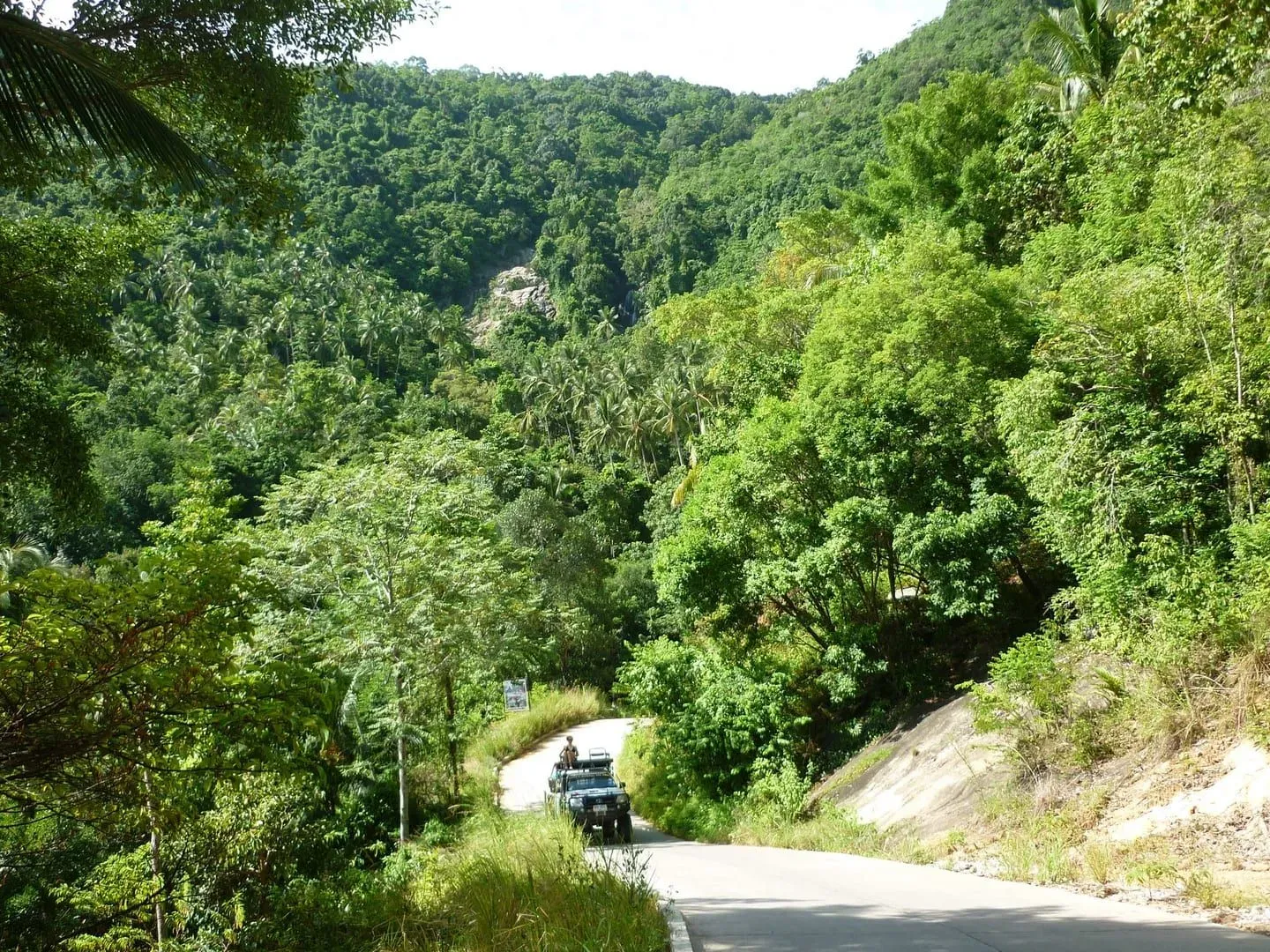 Jungle-covered hills typical of the trail up to Overlap Stone