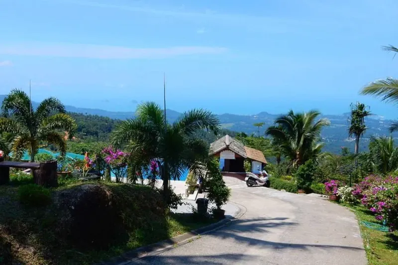 Il viale e il padiglione d'ingresso di Paradise Park Farm, con la piscina e la vista sulla costa più in là
