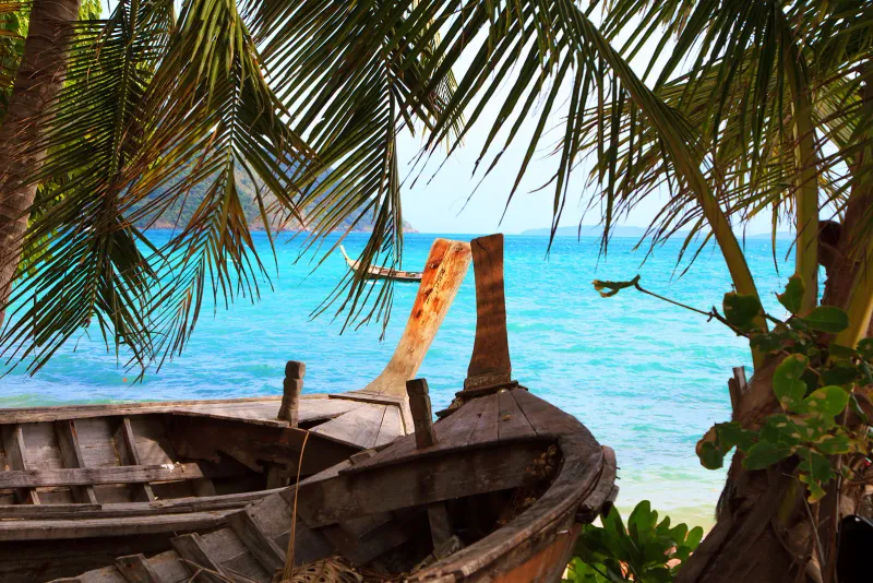 A longtail boat framed by palm leaves on Koh Samui's northeast shore