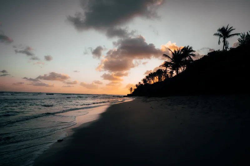 Silhouetted beach and palm-lined headland at dusk over calm water