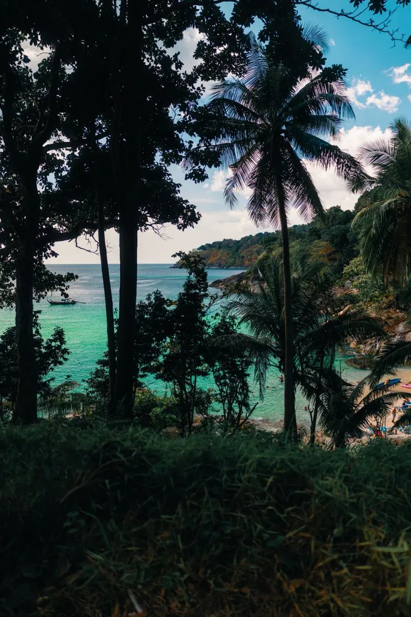 Palm trees framing a quiet turquoise cove glimpsed through the tree line