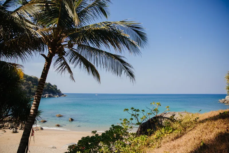 A palm tree framing a turquoise bay with scattered rocks along the shore
