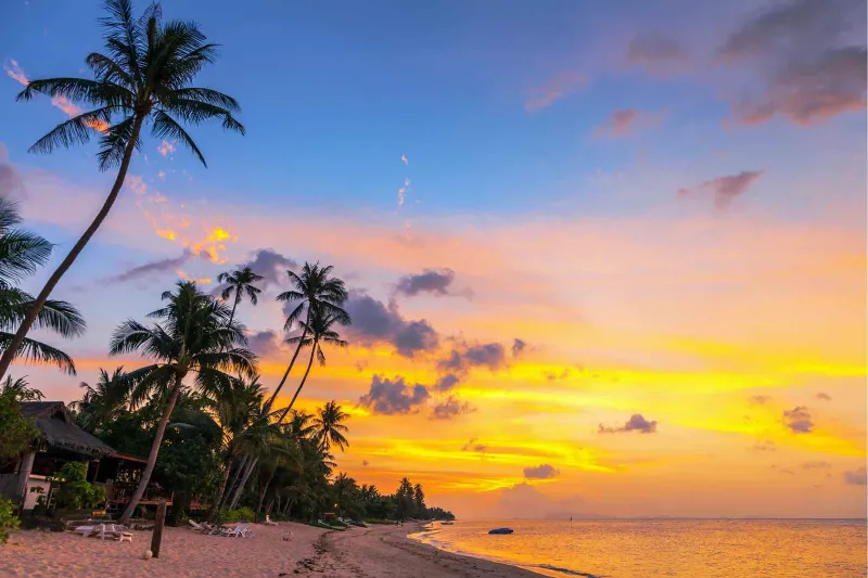 Sunset over palm trees on a Koh Samui beach