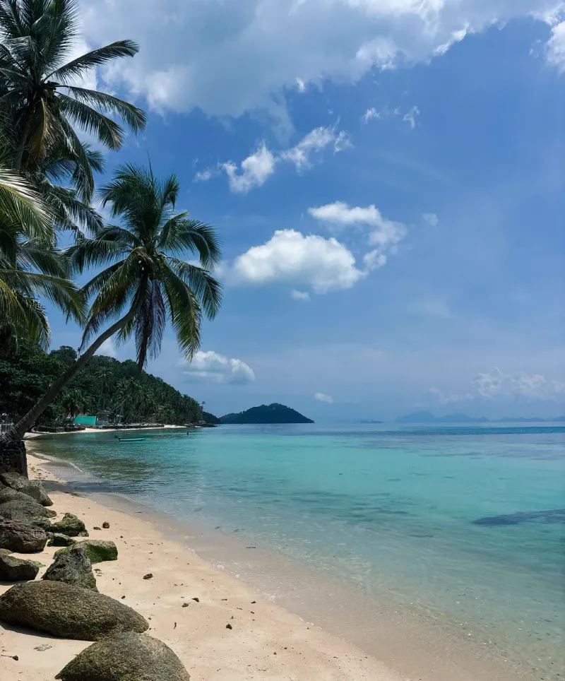 Coconut palms framing a quiet bay near Samrong on Koh Samui's northeast coast