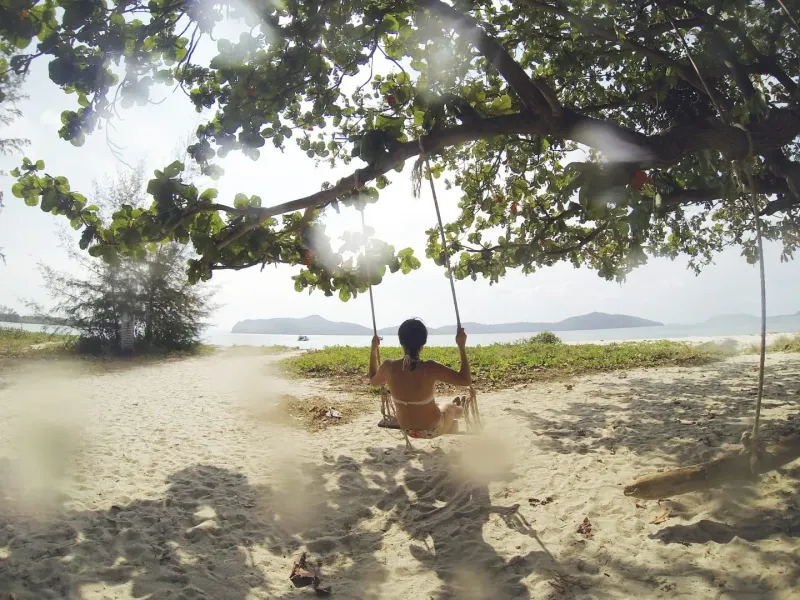 A beach swing hanging from a tree with a hazy island silhouette across the water