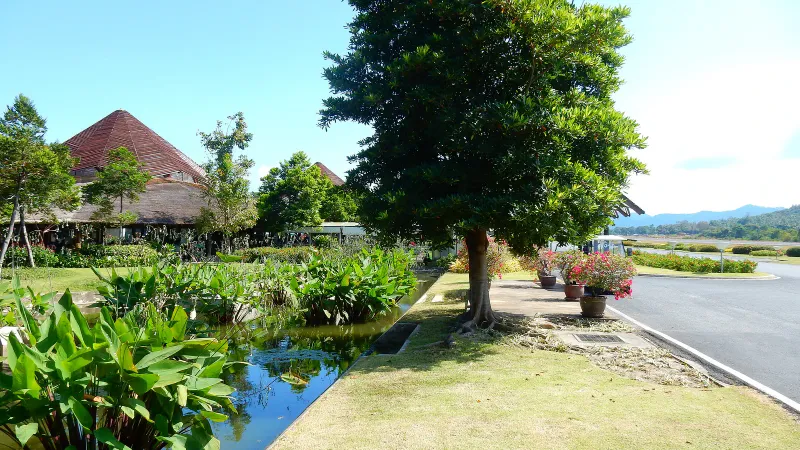 Passenger walkway beside the apron at Samui Airport with tropical planting, 2015 photograph
