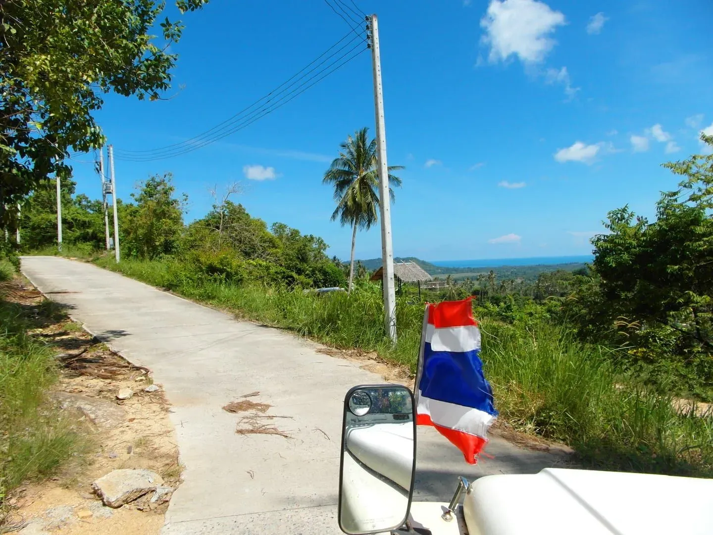 Secondary forest and undergrowth typical of Koh Samui's southern interior (illustrative)