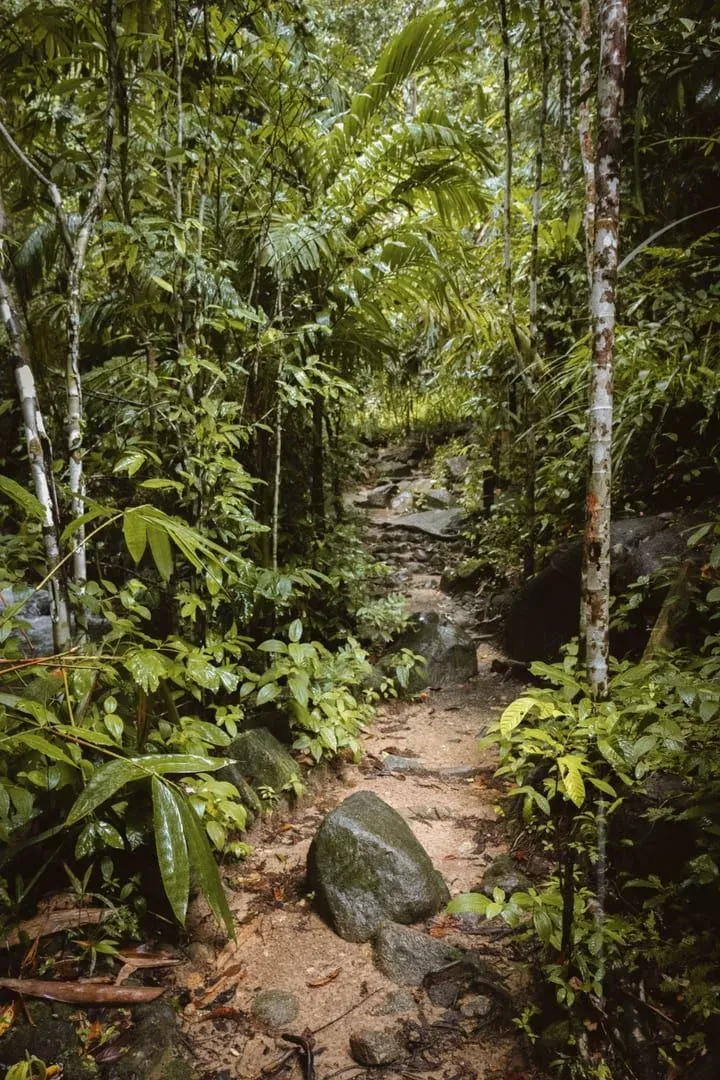 Khao Phra Trail