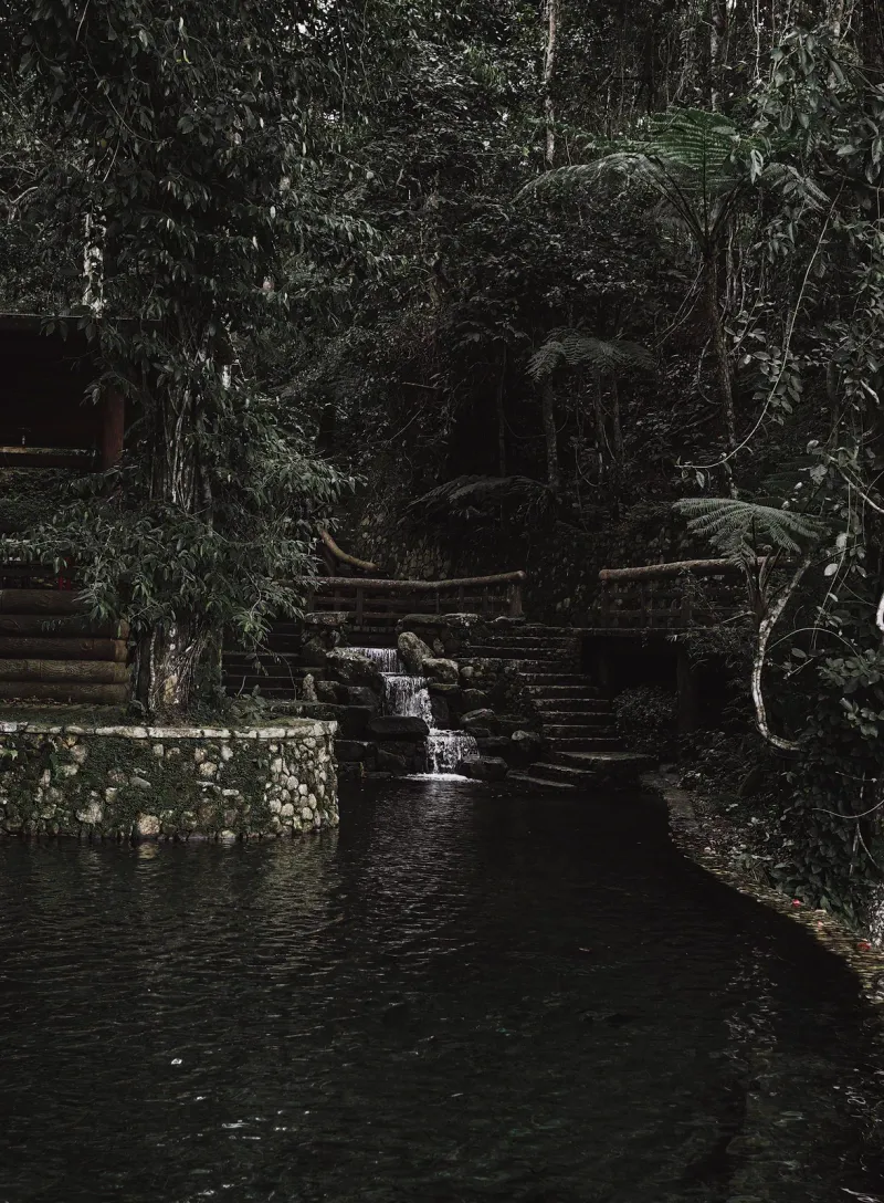 Tranquil forest pool with a small waterfall in a tropical jungle setting